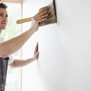 Interior Painter – House in Dubai | Dubai Trades Household Shop Online at Special Price from Dubai Trades