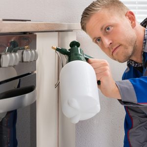 Buy Pristinex Offers Deep Cleaning… in Dubai | Dubai Trades Now at Special Price in DubaiTrades.com 6 Pristinex Offers Deep Cleaning… in Dubai | Dubai Trades Home Services Shop Online at Special Price from Dubai Trades 6