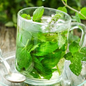 Unlock The Secrets Of Herbs With Master Herbalist Course in National Deal | Dubai Trades Miscellaneous Shop Online at Special Price from Dubai Trades