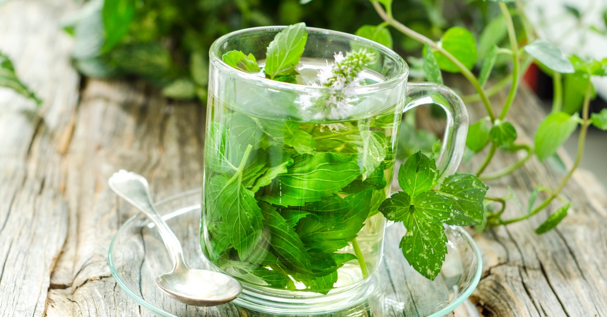 Buy Unlock The Secrets Of Herbs With Master Herbalist Course in National Deal | Dubai Trades Now at Special Price in DubaiTrades.com 2 Unlock The Secrets Of Herbs With Master Herbalist Course in National Deal | Dubai Trades Miscellaneous Shop Online at Special Price from Dubai Trades 2