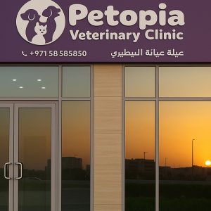 Comprehensive Pet Grooming For Cats And Dogs Up To 40 Kg in Dubai | Dubai Trades Miscellaneous Shop Online at Special Price from Dubai Trades 2