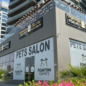 Buy Choice Of One, Two, Four, Six Beauty Treatment in Dubai | Dubai Trades Now at Special Price in DubaiTrades.com 8 Choice Of One, Two, Four, Six Beauty Treatment in Dubai | Dubai Trades Health & Beauty Shop Online at Special Price from Dubai Trades 8