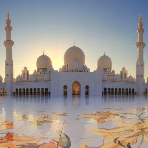 Buy Enhance Their Natural Beauty Wi… in Abu Dhabi | Dubai Trades Now at Special Price in DubaiTrades.com 7 Enhance Their Natural Beauty Wi… in Abu Dhabi | Dubai Trades Beauty Treatments Shop Online at Special Price from Dubai Trades 7