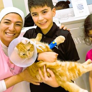 Cat Or Dog Consultation, Deworming, And Optional Annual Vaccine in Dubai | Dubai Trades Miscellaneous Shop Online at Special Price from Dubai Trades 2