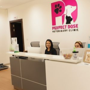 Buy Pet Grooming For Cats & Dogs:… in Dubai | Dubai Trades Now at Special Price in DubaiTrades.com 9 Pet Grooming For Cats & Dogs:… in Dubai | Dubai Trades Miscellaneous Shop Online at Special Price from Dubai Trades 9