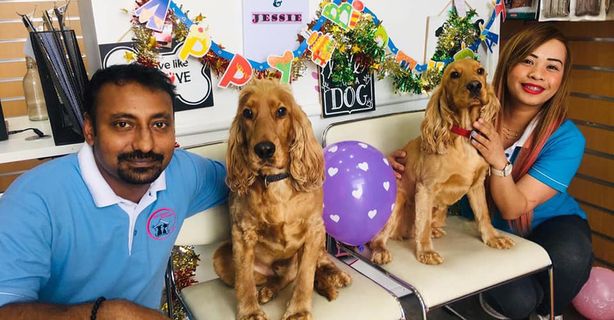 Buy Comprehensive Grooming For All Sizes(xl,l,m,s) Of Dogs And Small Cats in Dubai | Dubai Trades Now at Special Price in DubaiTrades.com 2 Comprehensive Grooming For All Sizes(xl,l,m,s) Of Dogs And Small Cats in Dubai | Dubai Trades Miscellaneous Shop Online at Special Price from Dubai Trades 2