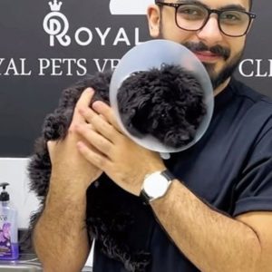 Buy Value Towards Beauty And Spa Treatments At Versailles Spa in Dubai | Dubai Trades Now at Special Price in DubaiTrades.com 9 Value Towards Beauty And Spa Treatments At Versailles Spa in Dubai | Dubai Trades Health & Beauty Shop Online at Special Price from Dubai Trades 9