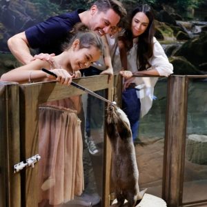 Buy Half Or Full Legs And Full Arms Or Brazilian With Underarms Waxing in Dubai | Dubai Trades Now at Special Price in DubaiTrades.com 10 Half Or Full Legs And Full Arms Or Brazilian With Underarms Waxing in Dubai | Dubai Trades Beauty Treatments Shop Online at Special Price from Dubai Trades 10