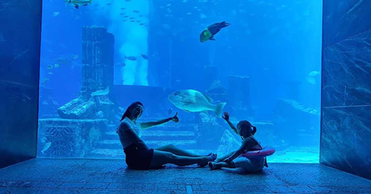 Buy Explore Dubai’s Lost Chambers Aquarium: Tickets For One, Two, Or Four | Dubai Trades Now at Special Price in DubaiTrades.com 2 Explore Dubai’s Lost Chambers Aquarium: Tickets For One, Two, Or Four | Dubai Trades Miscellaneous Shop Online at Special Price from Dubai Trades 2