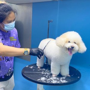 Buy Wash And Blow-dry in Dubai | Dubai Trades Now at Special Price in DubaiTrades.com 9 Wash And Blow-dry in Dubai | Dubai Trades Beauty Treatments Shop Online at Special Price from Dubai Trades 9