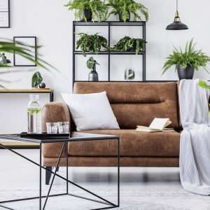 Interior Design And Home Decorating Online Course From Alpha Academy in National Deal | Dubai Trades Miscellaneous Shop Online at Special Price from Dubai Trades