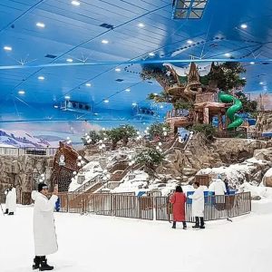Pass For One Adult To Award-winning Snow Park In Dubai in Sharjah & N. Emirates | Dubai Trades Travel, Activities & Events Shop Online at Special Price from Dubai Trades
