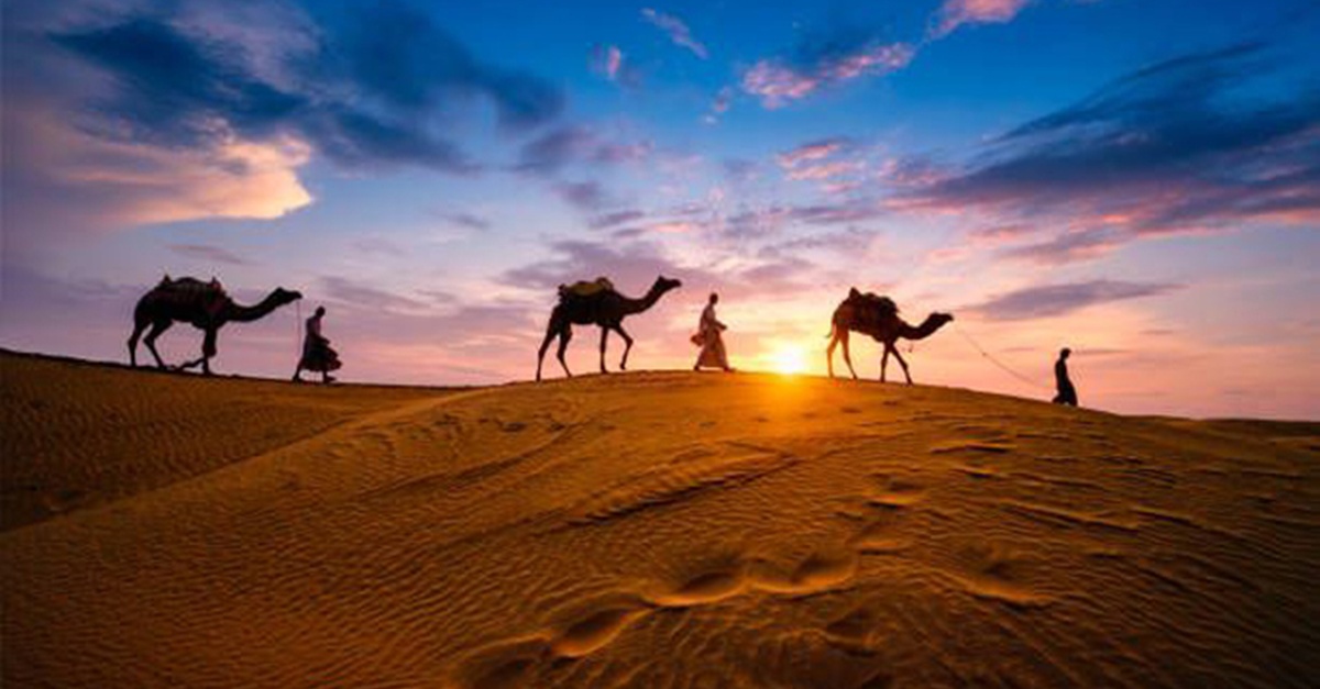 Buy Premium Desert Safari With Vip Transfer, Food, And Live Shows in Dubai | Dubai Trades Now at Special Price in DubaiTrades.com 2 Premium Desert Safari With Vip Transfer, Food, And Live Shows in Dubai | Dubai Trades Extreme sports & adrenaline activities Shop Online at Special Price from Dubai Trades 2