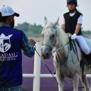 Buy Keep Your Pets Healthy And… in Dubai | Dubai Trades Now at Special Price in DubaiTrades.com 6 Keep Your Pets Healthy And… in Dubai | Dubai Trades Miscellaneous Shop Online at Special Price from Dubai Trades 6