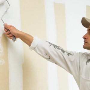 Transform Your Apartment With A Fresh Coat Of Paint in Dubai | Dubai Trades Household Shop Online at Special Price from Dubai Trades 2