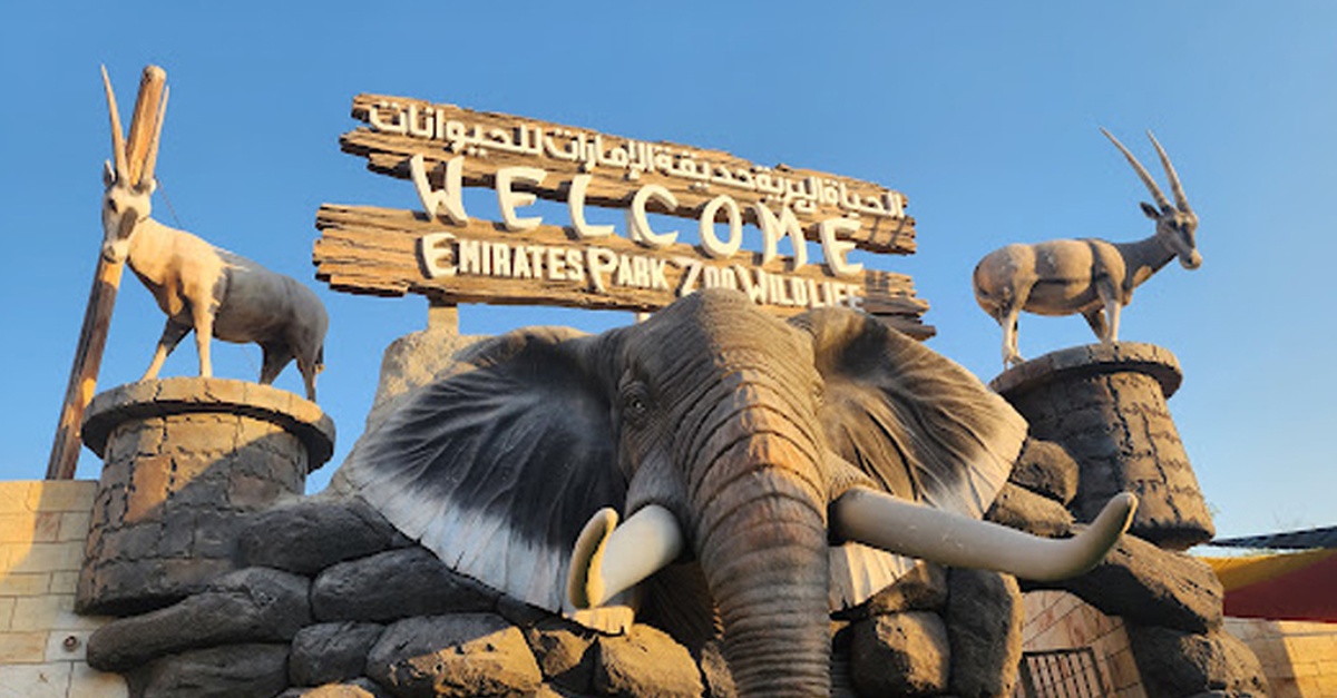 Buy Unleash Adventure: Zoo Entrance + 2 Exciting Activities For 1 Or 2! in Abu Dhabi | Dubai Trades Now at Special Price in DubaiTrades.com 2 Unleash Adventure: Zoo Entrance + 2 Exciting Activities For 1 Or 2! in Abu Dhabi | Dubai Trades Miscellaneous Shop Online at Special Price from Dubai Trades 2
