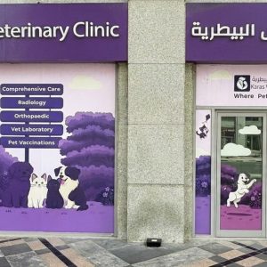 Buy Unwind With Basic Hammam, Hammam W Hair Wash, Blow Dry, & More in Dubai | Dubai Trades Now at Special Price in DubaiTrades.com 11 Unwind With Basic Hammam, Hammam W Hair Wash, Blow Dry, & More in Dubai | Dubai Trades Health & Beauty Shop Online at Special Price from Dubai Trades 11