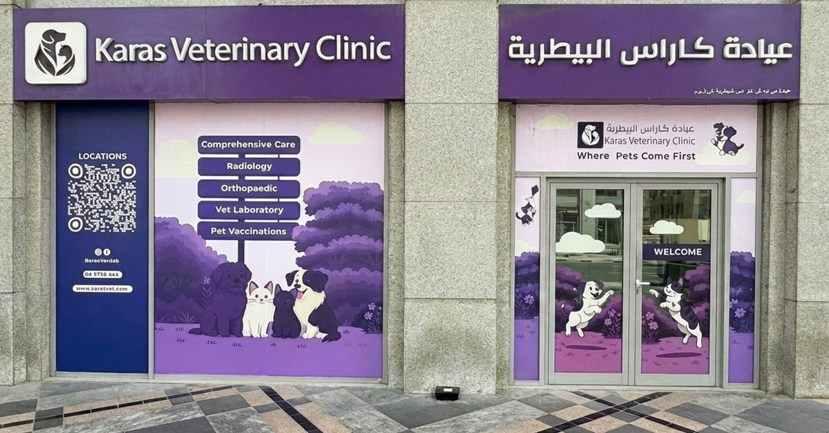 Buy Basic Or Full Grooming For Small Or Medium Dog, Cat Or Large Dog in Dubai | Dubai Trades Now at Special Price in DubaiTrades.com 2 Basic Or Full Grooming For Small Or Medium Dog, Cat Or Large Dog in Dubai | Dubai Trades Miscellaneous Shop Online at Special Price from Dubai Trades 2
