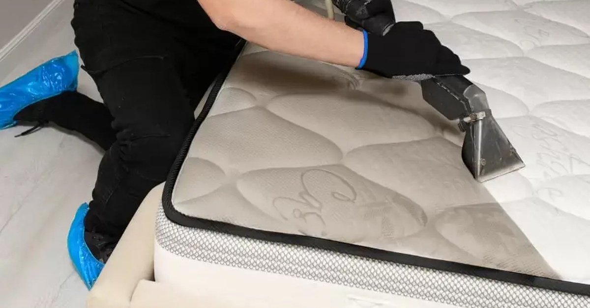 Buy Single, Double, Queen, Or King Mattress Deep Clean And Sanitization in Sharjah & N. Emirates | Dubai Trades Now at Special Price in DubaiTrades.com 2 Single, Double, Queen, Or King Mattress Deep Clean And Sanitization in Sharjah & N. Emirates | Dubai Trades Home Services Shop Online at Special Price from Dubai Trades 2