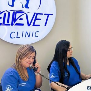 Buy Hair Cut, Wash, Blow Dry, Roots Color Or Full Hair Color in Dubai | Dubai Trades Now at Special Price in DubaiTrades.com 11 Hair Cut, Wash, Blow Dry, Roots Color Or Full Hair Color in Dubai | Dubai Trades Beauty Treatments Shop Online at Special Price from Dubai Trades 11