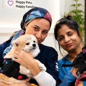 Professional Pet Styling And Comprehensive Hygiene Sessions in Sharjah & N. Emirates | Dubai Trades Miscellaneous Shop Online at Special Price from Dubai Trades