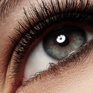 Buy Casa Bonita Beauty Salon in Dubai | Dubai Trades Now at Special Price in DubaiTrades.com 8 Casa Bonita Beauty Salon in Dubai | Dubai Trades Beauty Treatments Shop Online at Special Price from Dubai Trades 8
