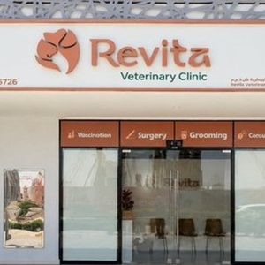 Cat & Dog Grooming: Basic Or Full For All Sizes in Dubai | Dubai Trades Miscellaneous Shop Online at Special Price from Dubai Trades