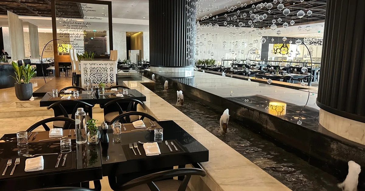 Buy Enjoy A 5-star International… in Abu Dhabi | Dubai Trades Now at Special Price in DubaiTrades.com 3 Enjoy A 5-star International… in Abu Dhabi | Dubai Trades Miscellaneous Shop Online at Special Price from Dubai Trades 3