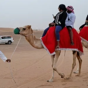 Desert Safari Adventure With… in Dubai | Dubai Trades Leisure Activities Shop Online at Special Price from Dubai Trades
