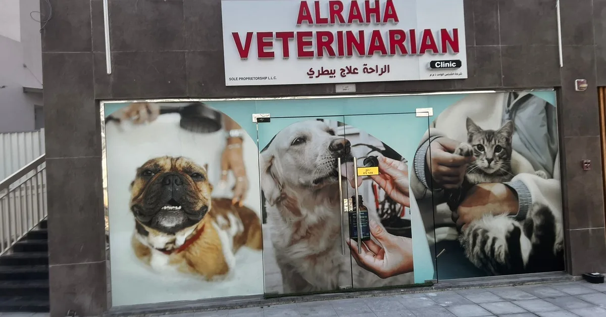 Buy Up To 0% Off On At Al Raha Veterinary Clinic in Abu Dhabi | Dubai Trades Now at Special Price in DubaiTrades.com 3 Up To 0% Off On At Al Raha Veterinary Clinic in Abu Dhabi | Dubai Trades Miscellaneous Shop Online at Special Price from Dubai Trades 3