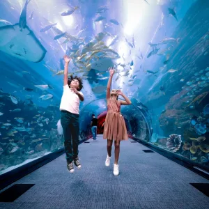 Dubai Aquarium & Underwater Zoo – Regular Pass – Experiences Experiences Shop Online at Special Price from Dubai Trades