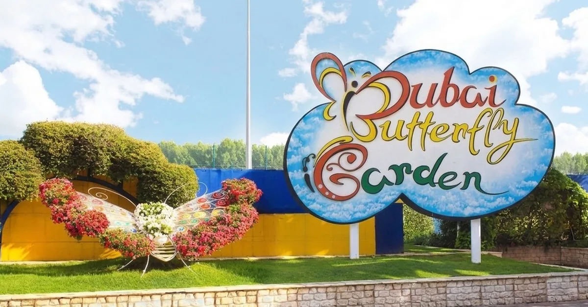 Buy Dubai Butterfly Garden Entry Ticket For One, Two, Or Three Adults | Dubai Trades Now at Special Price in DubaiTrades.com 4 Dubai Butterfly Garden Entry Ticket For One, Two, Or Three Adults | Dubai Trades Miscellaneous Shop Online at Special Price from Dubai Trades 4