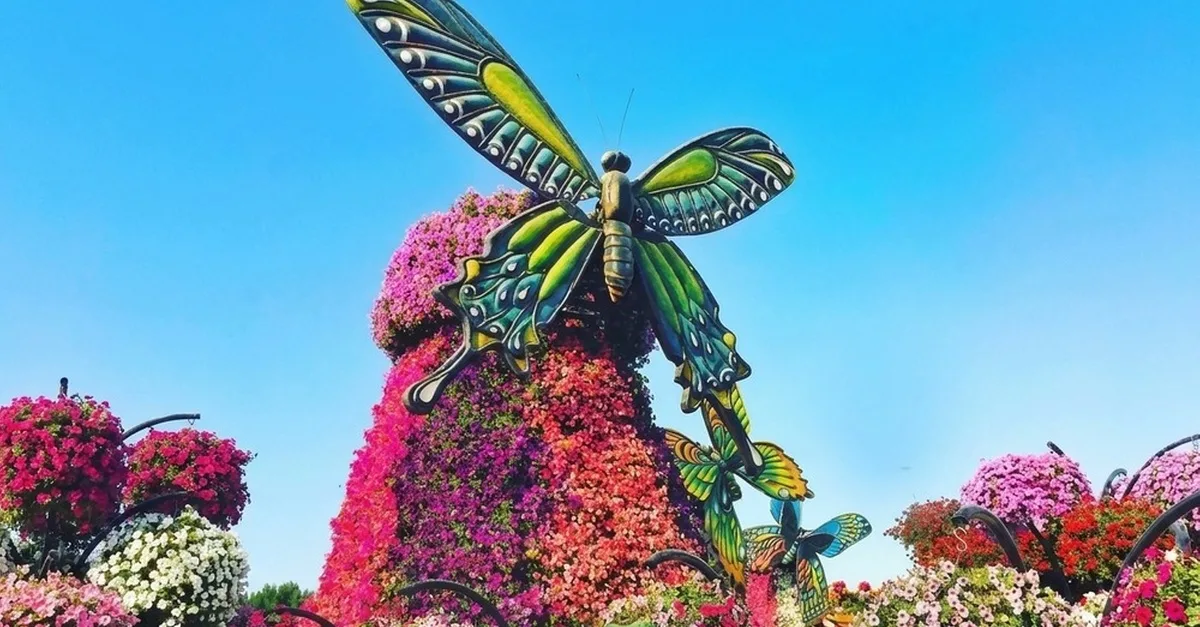 Buy Dubai Butterfly Garden Entry Ticket For One, Two, Or Three Adults | Dubai Trades Now at Special Price in DubaiTrades.com 2 Dubai Butterfly Garden Entry Ticket For One, Two, Or Three Adults | Dubai Trades Miscellaneous Shop Online at Special Price from Dubai Trades 2