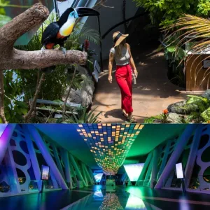 Dubai Frame + The Green Planet Dubai – Combo – Must-see attractions Must-see attractions Shop Online at Special Price from Dubai Trades