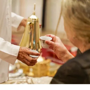 Emirati Hospitality Experience Including Late Lunch – Sightseeing and Tours Sightseeing and Tours Shop Online at Special Price from Dubai Trades