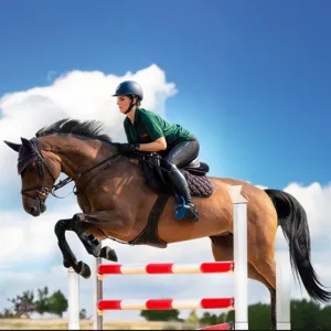 Equestrian Horse Ride at Al Forsan – Recently Added Experiences Recently Added Experiences Shop Online at Special Price from Dubai Trades