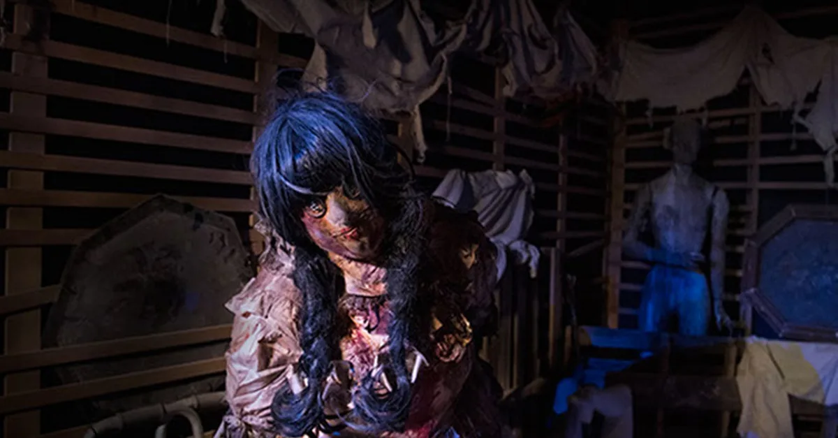 Buy Experience Dubais Haunted Attraction: Hysterias 15-room Adventure! | Dubai Trades Now at Special Price in DubaiTrades.com 3 Experience Dubais Haunted Attraction: Hysterias 15-room Adventure! | Dubai Trades Miscellaneous Shop Online at Special Price from Dubai Trades 3