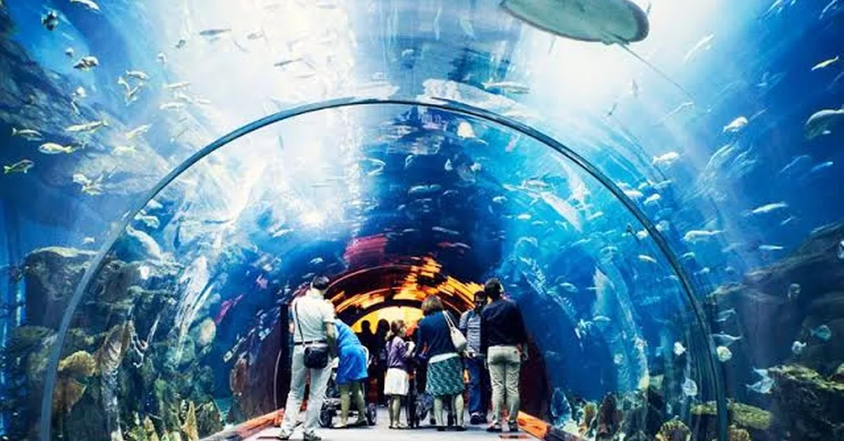 Buy Explore The Lost Chambers… in Dubai | Dubai Trades Now at Special Price in DubaiTrades.com 5 Explore The Lost Chambers… in Dubai | Dubai Trades Miscellaneous Shop Online at Special Price from Dubai Trades 5
