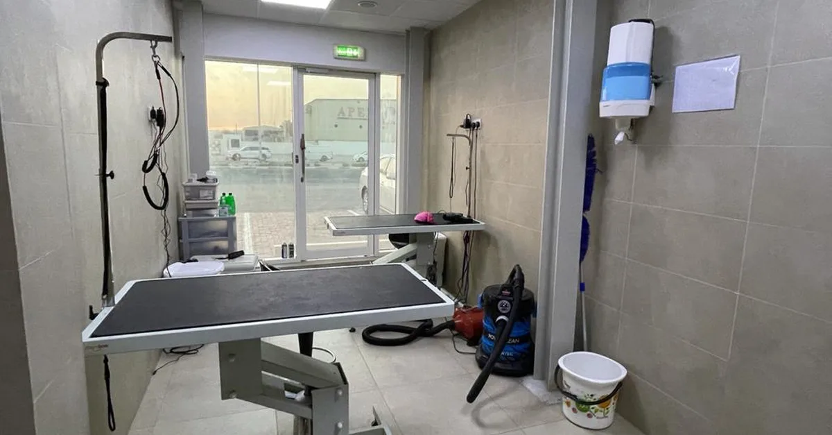 Buy Extensive Pet Grooming Service in Dubai | Dubai Trades Now at Special Price in DubaiTrades.com 4 Extensive Pet Grooming Service in Dubai | Dubai Trades Miscellaneous Shop Online at Special Price from Dubai Trades 4