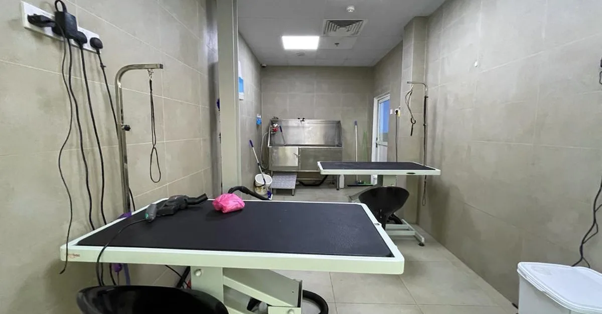 Buy Extensive Pet Grooming Service in Dubai | Dubai Trades Now at Special Price in DubaiTrades.com 5 Extensive Pet Grooming Service in Dubai | Dubai Trades Miscellaneous Shop Online at Special Price from Dubai Trades 5