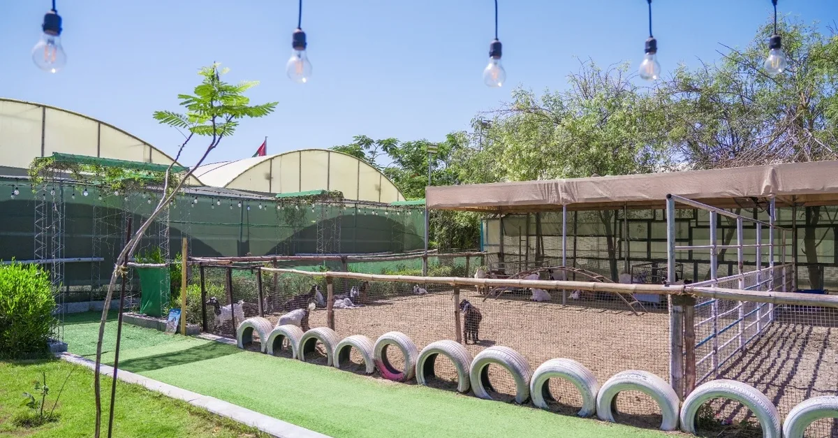 Buy Farm Fun & Exploration For All In Abu Dhabi | Dubai Trades Now at Special Price in DubaiTrades.com 5 Farm Fun & Exploration For All In Abu Dhabi | Dubai Trades Miscellaneous Shop Online at Special Price from Dubai Trades 5
