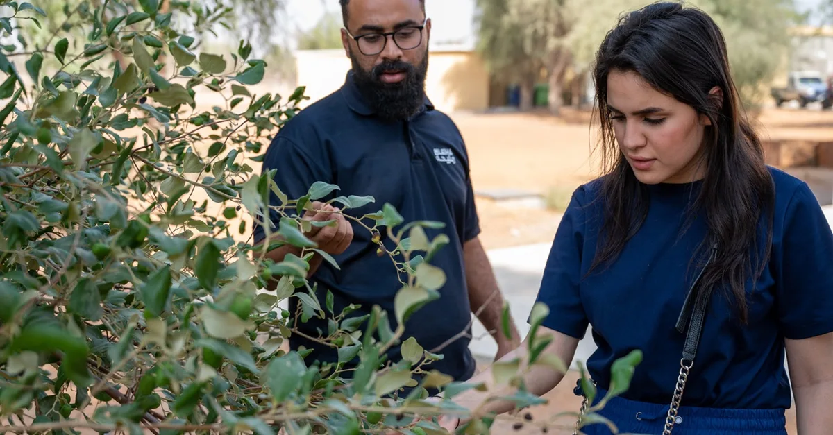 Buy Fossil Hunt (standard & Premium), Flora & Fauna, Space Camp And More in Dubai | Dubai Trades Now at Special Price in DubaiTrades.com 5 Fossil Hunt (standard & Premium), Flora & Fauna, Space Camp And More in Dubai | Dubai Trades Miscellaneous Shop Online at Special Price from Dubai Trades 5