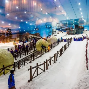 Donkey Picnic Adventure &… in Dubai | Dubai Trades Leisure Activities Shop Online at Special Price from Dubai Trades