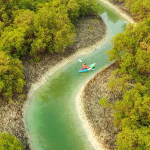 Guided Kayak Tour in the Reem Central Park Mangroves – Water Sports Travel, Activities & Events Shop Online at Special Price from Dubai Trades 2