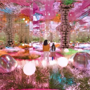 House Of Hype-Dubai Mall – Experiences Experiences Shop Online at Special Price from Dubai Trades
