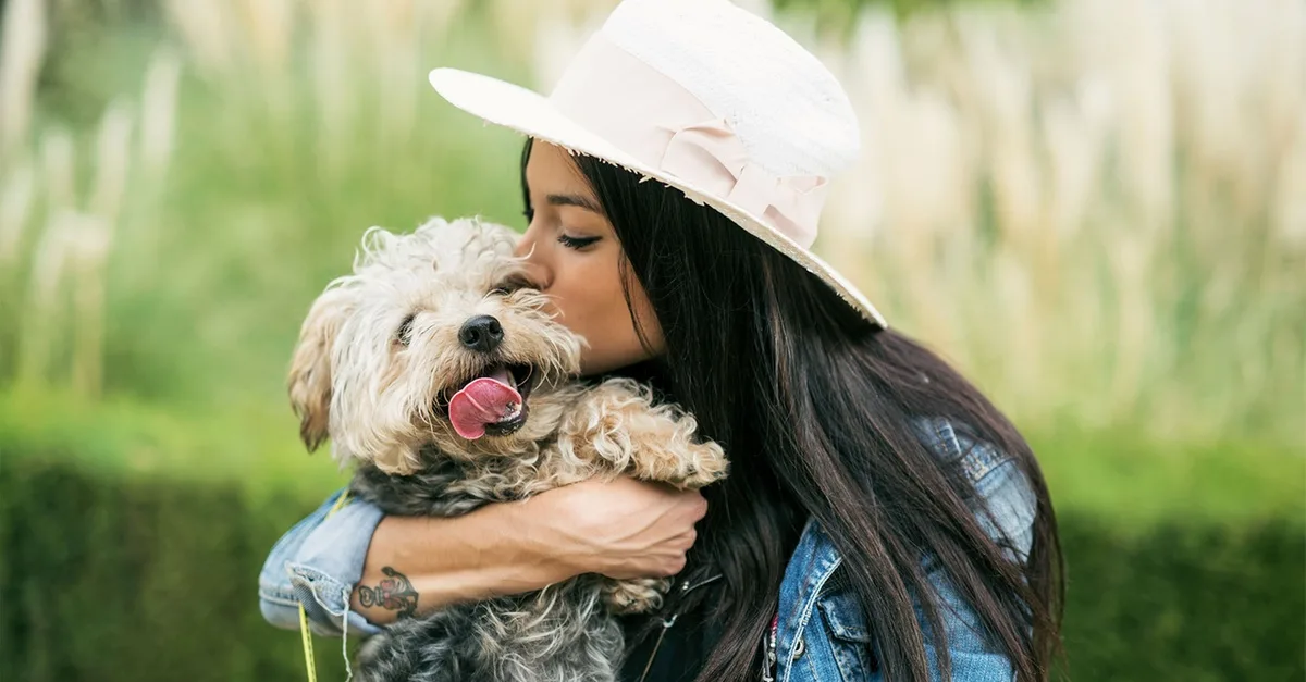 Buy Keep Your Pets Healthy And… in Dubai | Dubai Trades Now at Special Price in DubaiTrades.com 2 Keep Your Pets Healthy And… in Dubai | Dubai Trades Miscellaneous Shop Online at Special Price from Dubai Trades 2