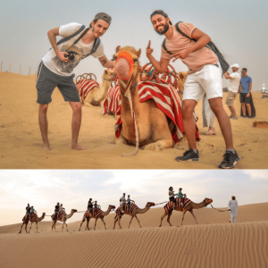 Morning Desert Safari Dubai with Dune Bashing, Sand Boarding & Camel Ride – Desert safaris Desert safaris Shop Online at Special Price from Dubai Trades
