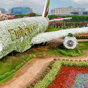 Nature & Ocean Wonders: Dubai Miracle Garden + Dubai Aquarium Combo | Dubai Trades Miscellaneous Shop Online at Special Price from Dubai Trades