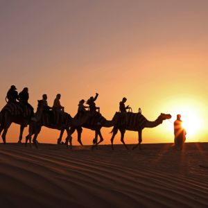 Overnight Red Dune Desert Safari with Dune Bashing, BBQ & Breakfast – Desert safaris Desert safaris Shop Online at Special Price from Dubai Trades