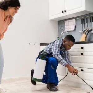 Pest Control Service – General in Dubai | Dubai Trades Home Services Shop Online at Special Price from Dubai Trades